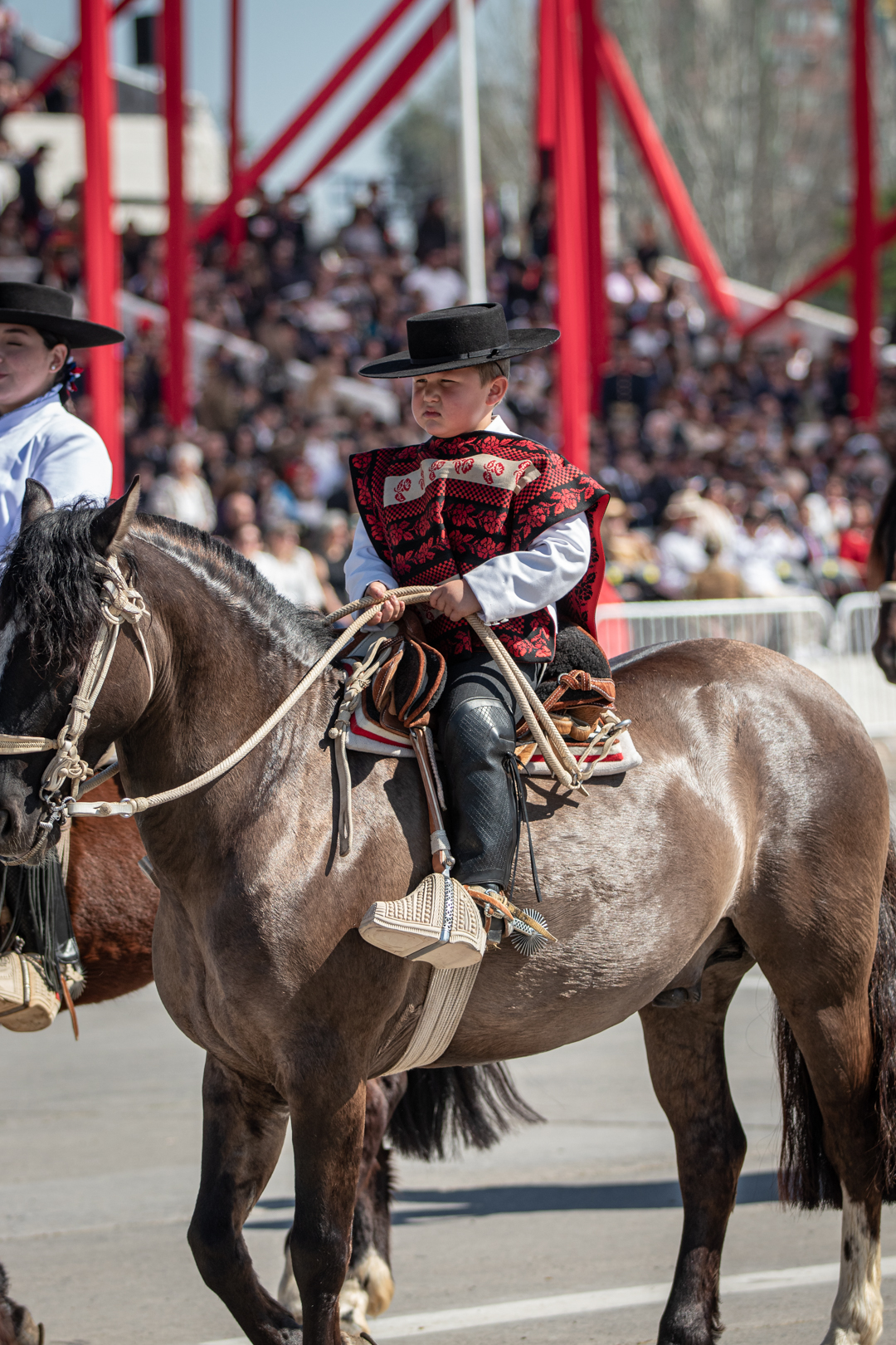 Luciano Cerda Garrido