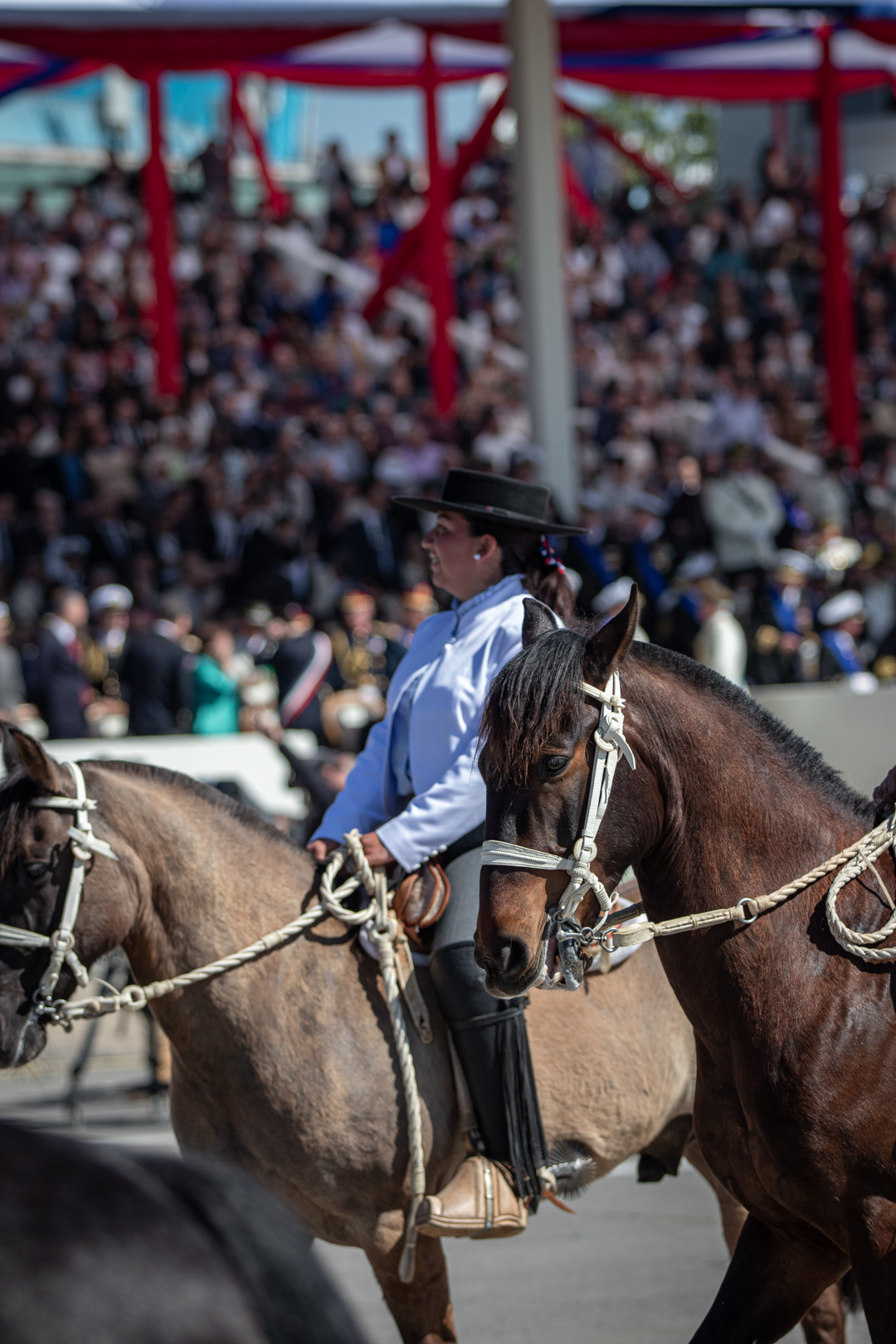 Pia Vásquez Riquelme